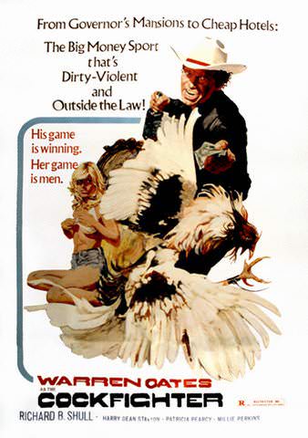 Cockfighter poster