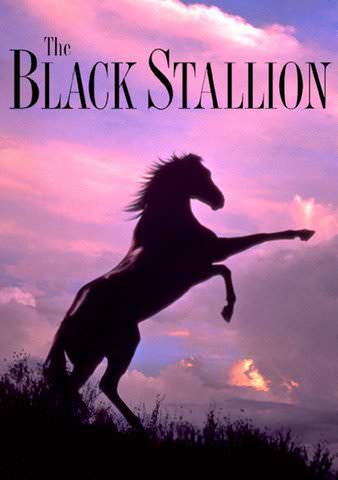 The Black Stallion poster