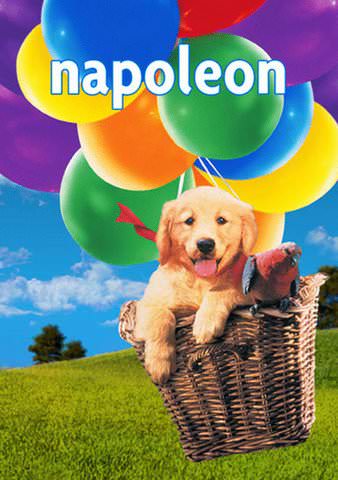 Napoleon poster
