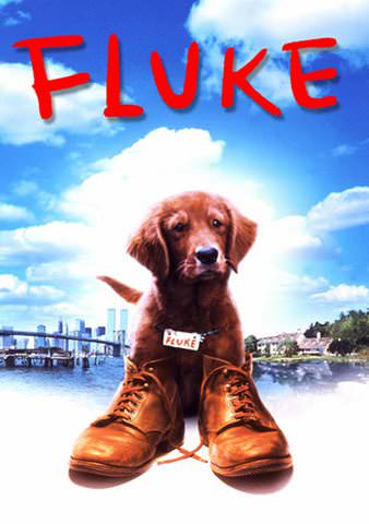 Fluke poster