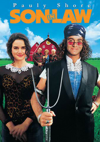 Son-In-Law poster