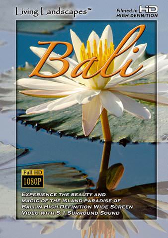 Bali poster
