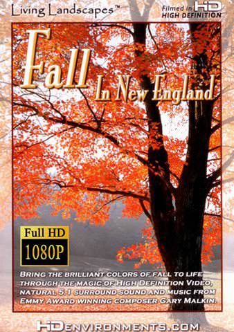 Fall in New England poster