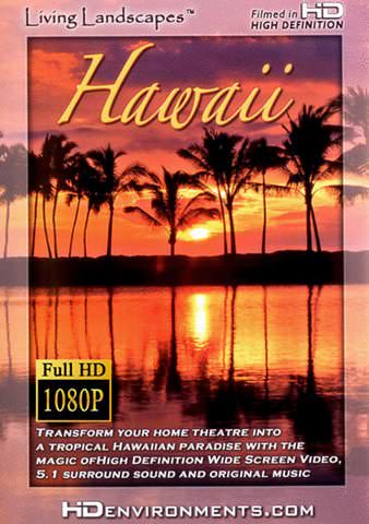Hawaii poster