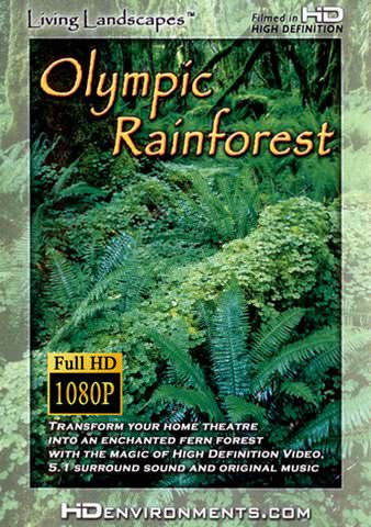 Olympic Rainforest poster
