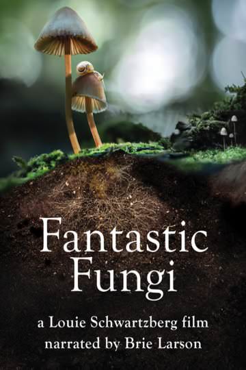 Watch Rent or Buy Fantastic Fungi Online | Fandango at Home (Vudu)