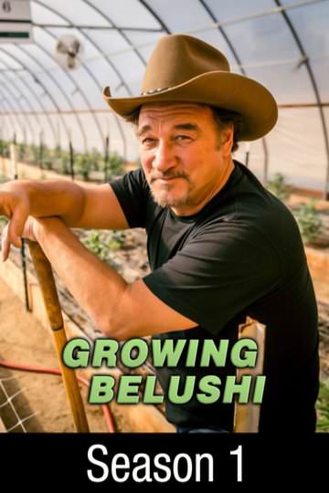 Growing Belushi Tv Show 60 Photos - Moonagedaydream.film