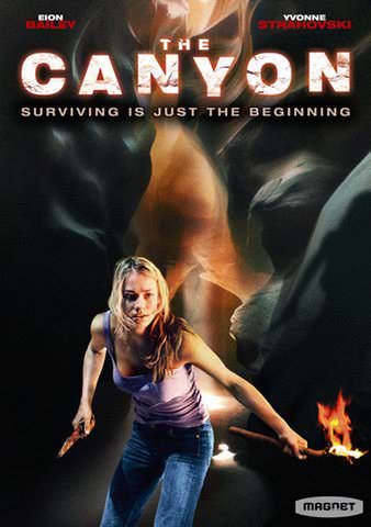 The Canyon poster