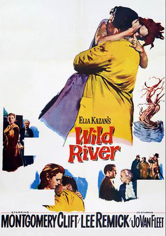 Wild River poster