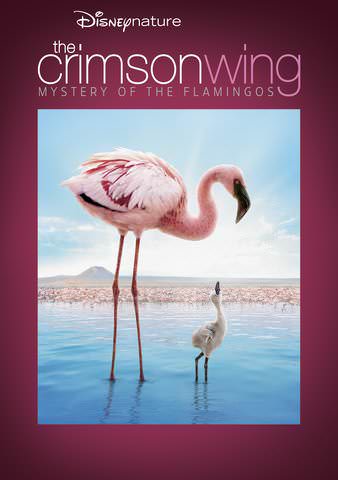 The Crimson Wing: Mystery of the Flamingos poster