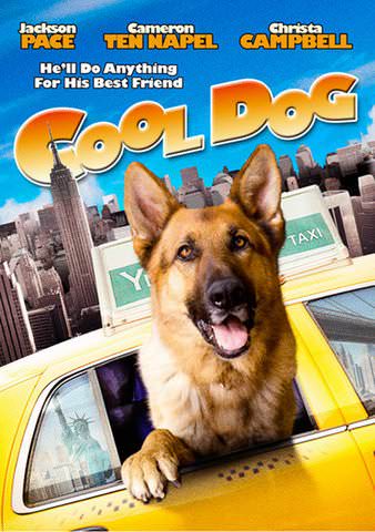 Cool Dog poster