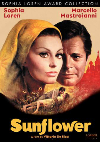 Sunflower poster