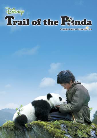 Trail of the Panda poster