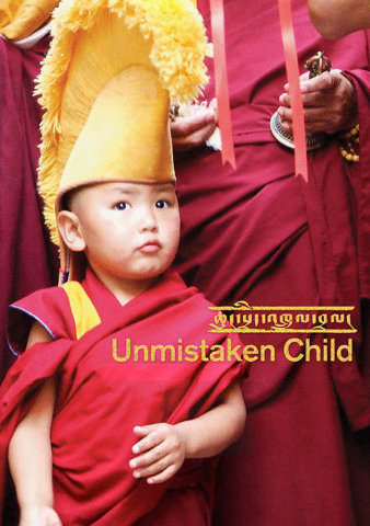 Unmistaken Child poster