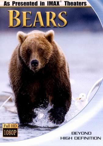 Bears poster