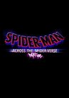  Spider-Man: Across the Spider-Verse / Spider-Man: Into the  Spider-Verse - Multi-Feature (2 Disc) - Blu-ray + Digital : Shameik Moore,  Jake Johnson, Hailee Steinfeld, Bob Persichetti, Joaquim Dos Santos: Movies  