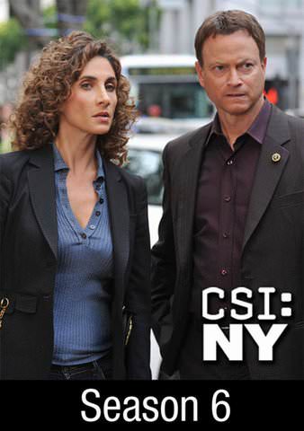 CSI: NY: Season 6 poster