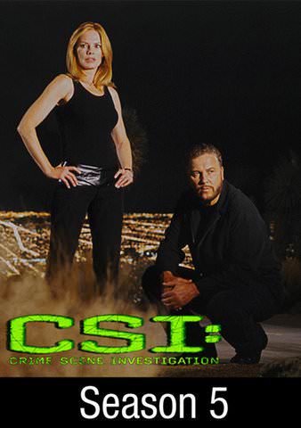 CSI: Crime Scene Investigation: Grave Danger poster