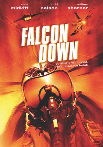Falcon Down poster