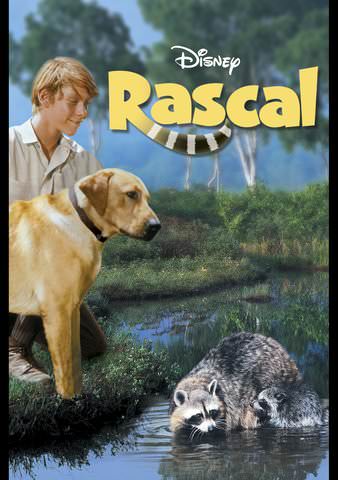 Rascal poster