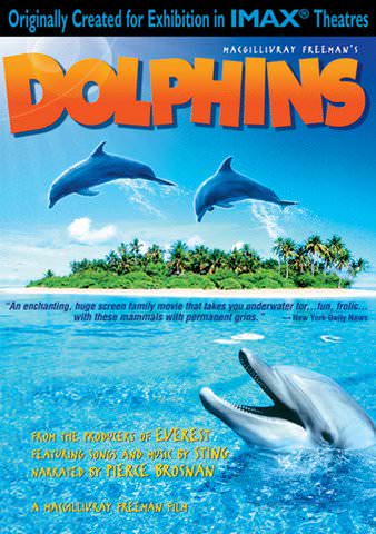 Dolphins poster