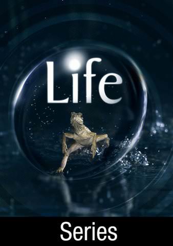 Life [UK] [TV Series] poster