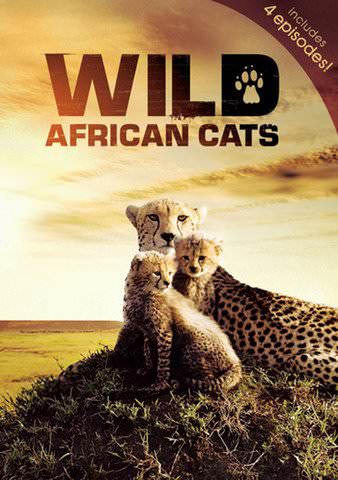 Wild African Cats poster