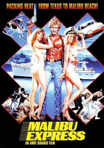 Malibu Express poster