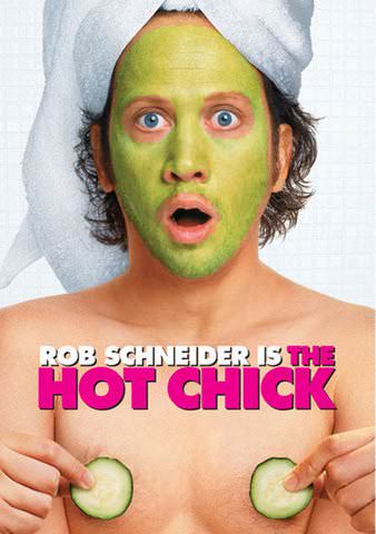 The Hot Chick poster