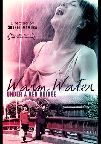 Warm Water Under a Red Bridge poster