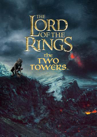  The Lord of the Rings: The Fellowship of the Ring (Two-Disc  Widescreen Theatrical Edition) : Elijah Wood, Ian McKellen, Liv Tyler,  Viggo Mortensen, Sean Astin, Cate Blanchett, John Rhys-Davies, Billy Boyd