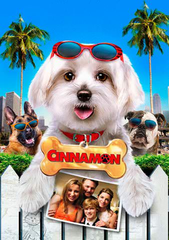 Cinnamon poster