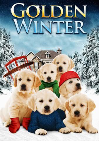 Golden Winter poster