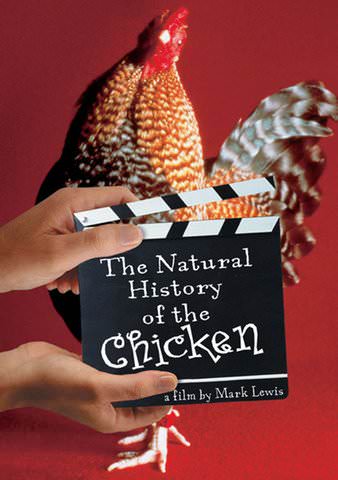 The Natural History of the Chicken poster