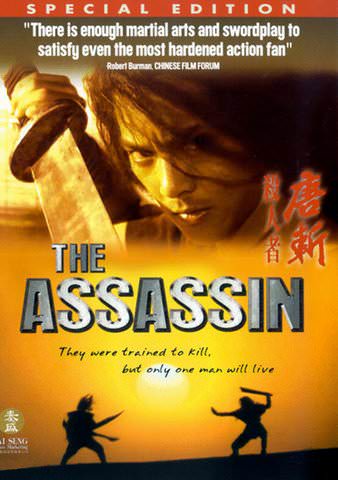 The Assassin poster