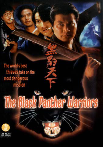 Black Panther Warriors poster
