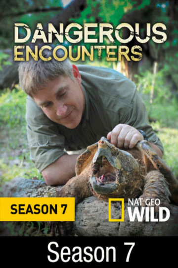 その他 Best of Dangerous Encounters With Brady Barr [DVD] Amazon.com: Best of Dangerous Encounters With Brady Barr (2-Disc