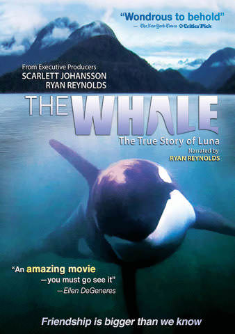 The Whale poster