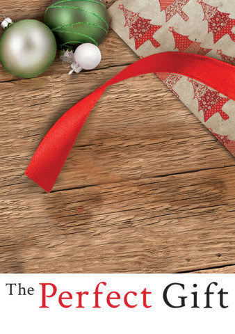 The Perfect Gift poster