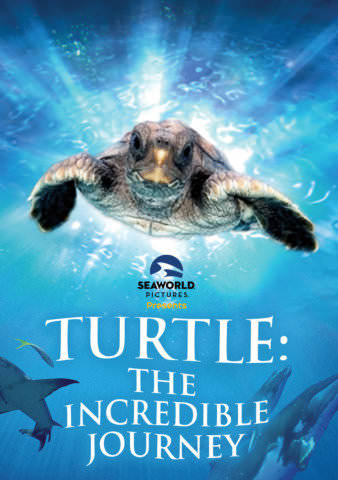 Turtle: The Incredible Journey poster