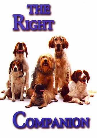 The Right Companion poster
