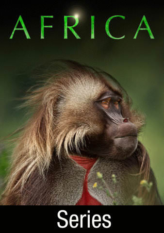 Africa [TV Series] poster