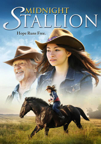 Midnight Stallion poster