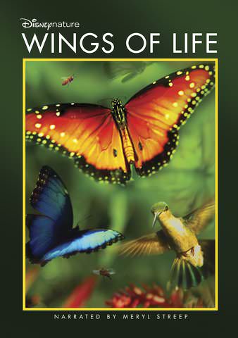Wings of Life poster