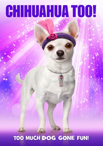 Chihuahua Too! poster