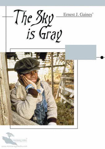 The Sky Is Gray poster