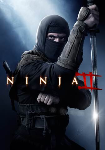 Ninja 2 poster