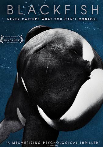 Blackfish poster