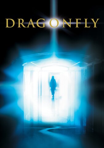 Dragonfly poster