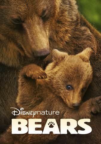 Bears (2014) poster